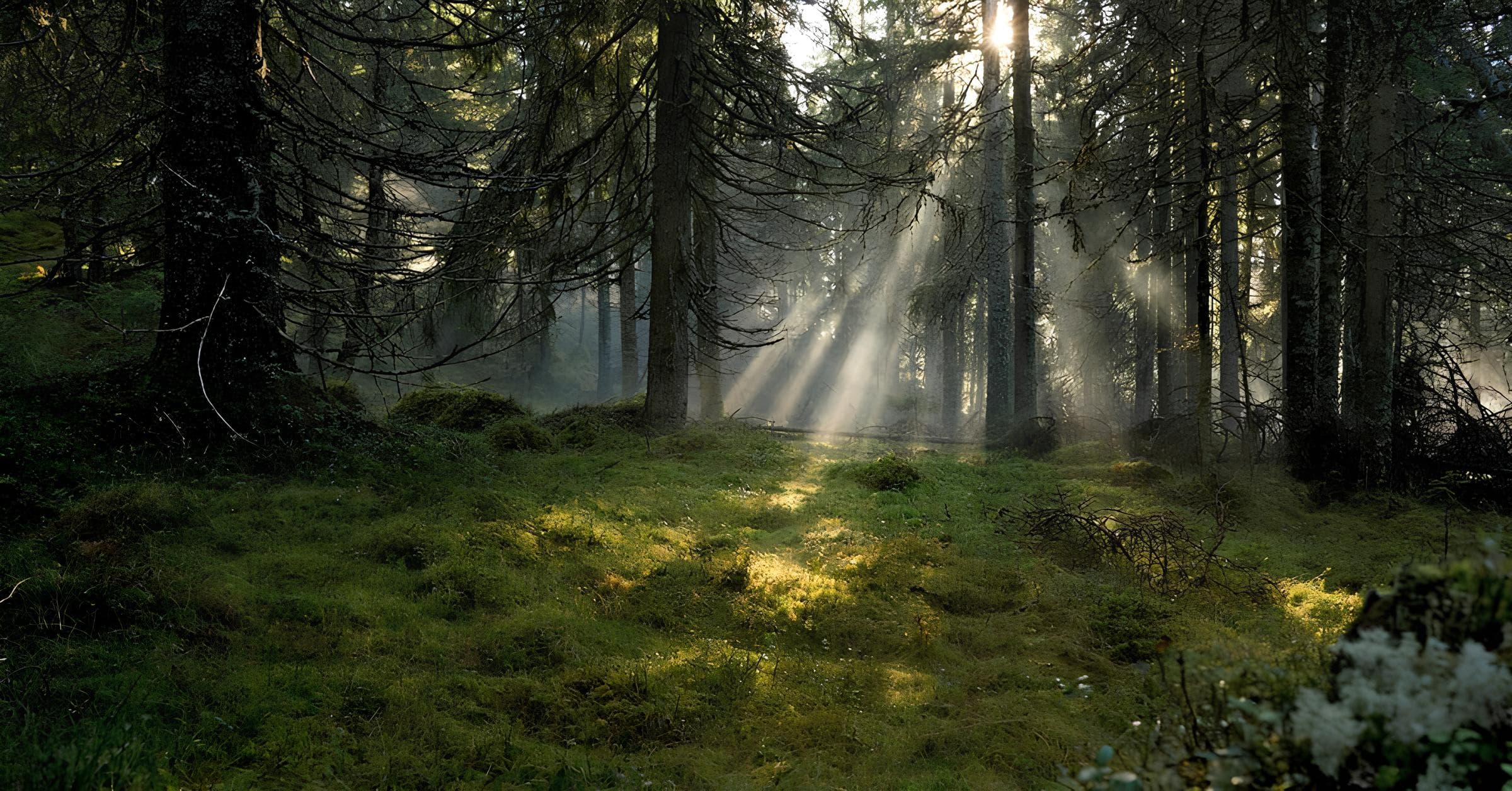 Mobile App for Crisis Preparedness project cover